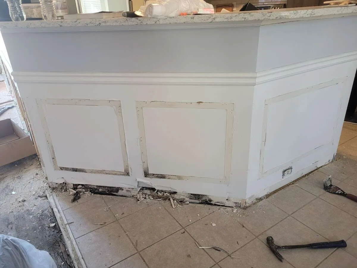 Water damage and mold on kitchen during Sewage Cleanup & Sanitation in June Park